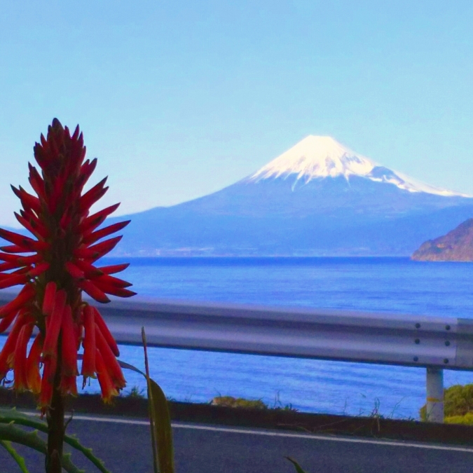 富士山 伊豆